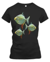 Women's Premium Slim Fit Tee Women's Premium Slim Fit Tee