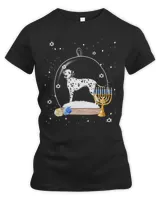 Women's Premium Slim Fit Tee Women's Premium Slim Fit Tee