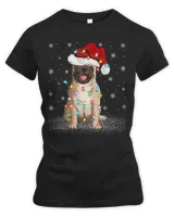 Women's Premium Slim Fit Tee Women's Premium Slim Fit Tee