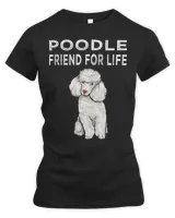 Women's Premium Slim Fit Tee Women's Premium Slim Fit Tee