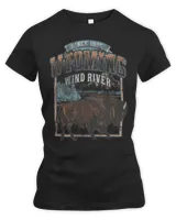 Women's Premium Slim Fit Tee Women's Premium Slim Fit Tee