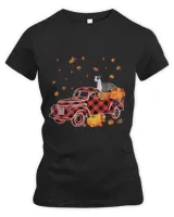 Women's Premium Slim Fit Tee Women's Premium Slim Fit Tee