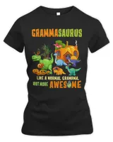 Women's Premium Slim Fit Tee Women's Premium Slim Fit Tee