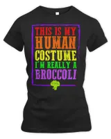 Women's Premium Slim Fit Tee Women's Premium Slim Fit Tee