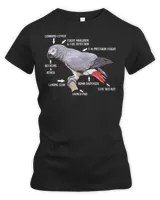 Women's Premium Slim Fit Tee