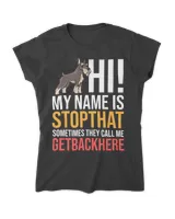 Women's Standard T-Shirt