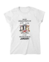 Women's Standard T-Shirt