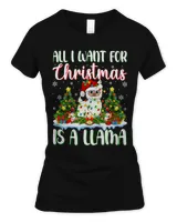 Women&#39;s Standard T-Shirt