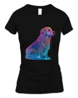 Women's Standard T-Shirt Women's Standard T-Shirt