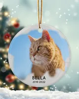 Personalized Custom Cat Pet Memorial Photo Christmas Name And DateYear Ceramic Ornament Porcelain Ornament - Circle white one-sided __single