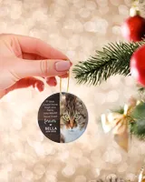 Personalized Custom Cat Pet Memorial Sympathy Christmas Name Ceramic Ornament Porcelain Ornament - Circle white one-sided __single