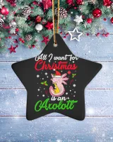 Porcelain Ornament - Star