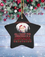 Porcelain Ornament - Star