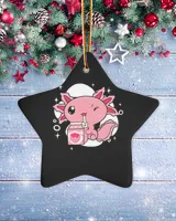 Porcelain Ornament - Star
