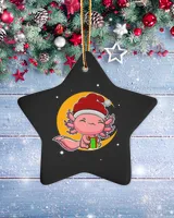 Porcelain Ornament - Star