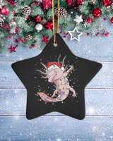 Porcelain Ornament - Star