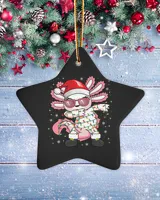 Porcelain Ornament - Star