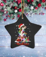 Porcelain Ornament - Star