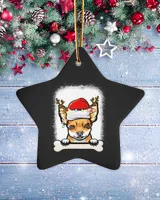 Porcelain Ornament - Star