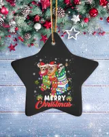Porcelain Ornament - Star