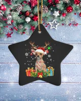 Porcelain Ornament - Star
