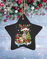 Porcelain Ornament - Star