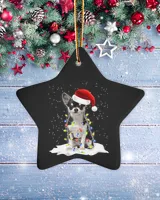 Porcelain Ornament - Star