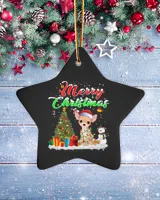 Porcelain Ornament - Star