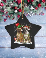 Porcelain Ornament - Star