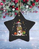 Porcelain Ornament - Star