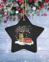 Porcelain Ornament - Star