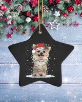 Porcelain Ornament - Star