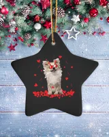 Porcelain Ornament - Star