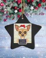 Porcelain Ornament - Star