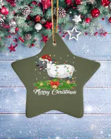 Porcelain Ornament - Star