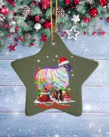 Porcelain Ornament - Star
