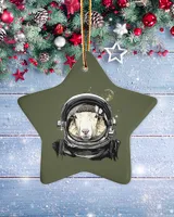 Porcelain Ornament - Star