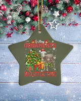 Porcelain Ornament - Star