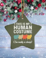 Porcelain Ornament - Star