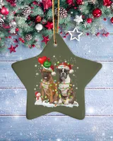 Porcelain Ornament - Star