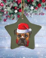 Porcelain Ornament - Star
