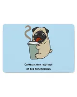 Door Mat