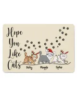 Door Mat