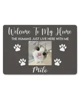 Door Mat