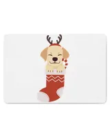Door Mat