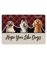 Door Mat