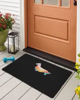 Indoor Floor Mat Indoor Floor Mat
