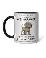 Accent Mug