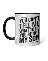 Accent Mug