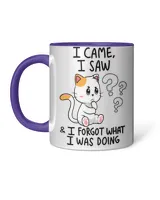 Accent Mug